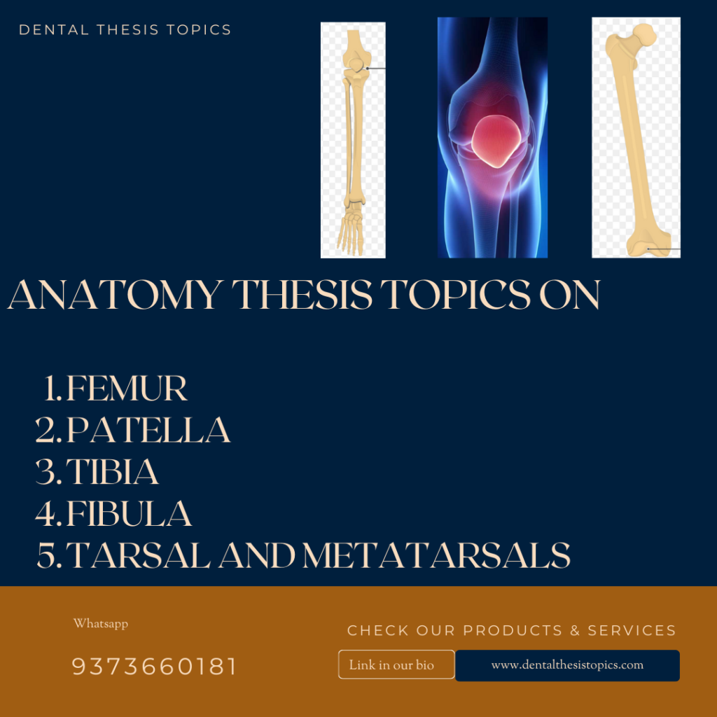 Thesis Topics on Lower limb