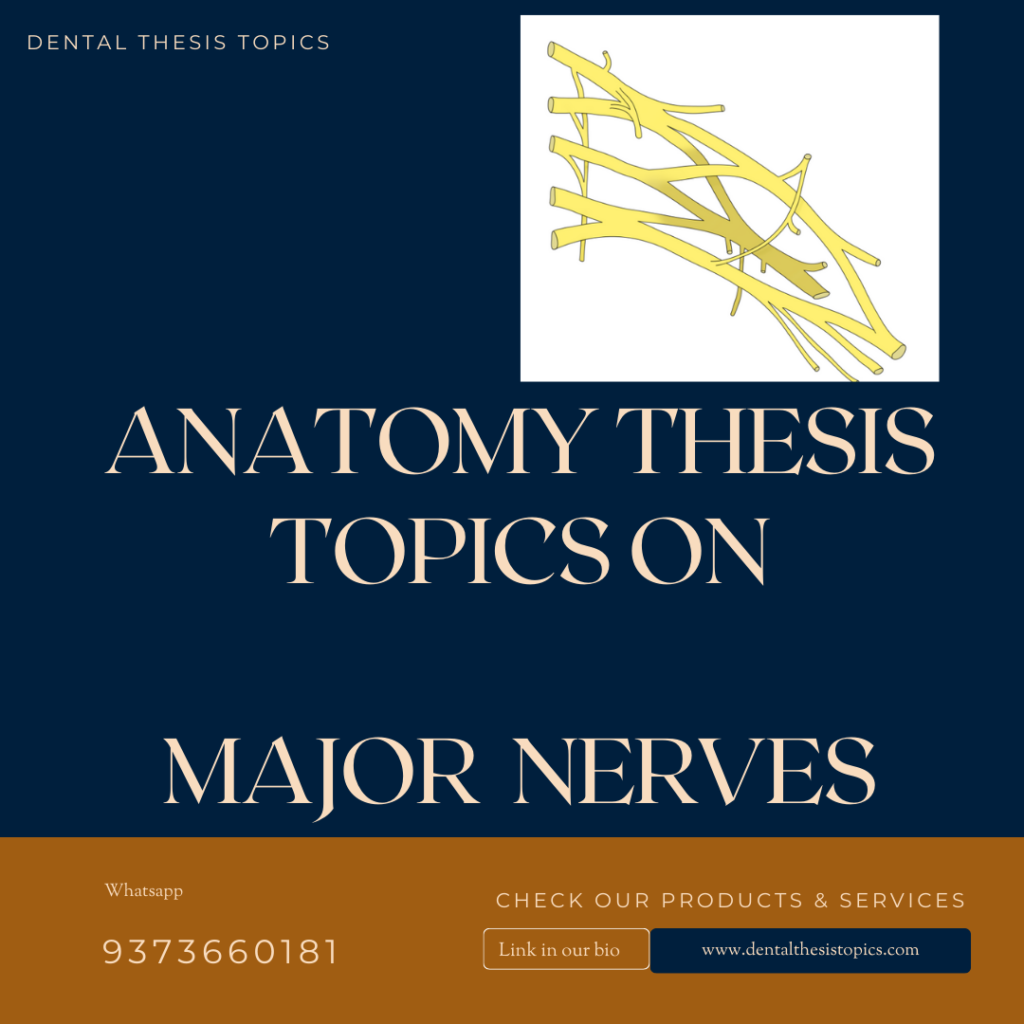 Anatomy thesis topics on major nerves